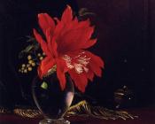 Red Flower in a Vase - 马丁·约翰逊·赫德
